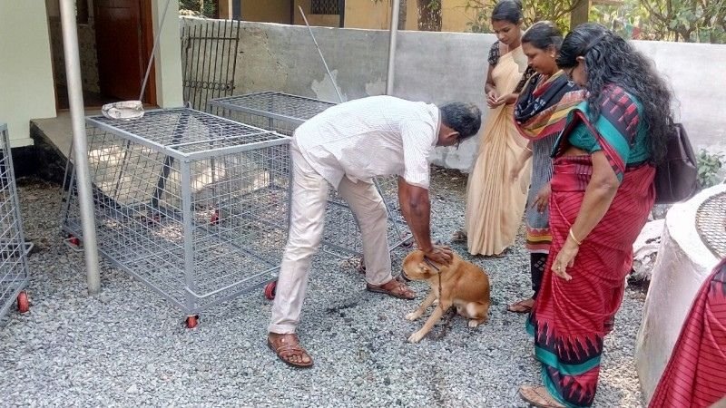 തെരുവുനായ ഭീഷണി: കേരളം നേരിടുന്ന നിയമനിർമ്മാണപ്രതിസന്ധി
