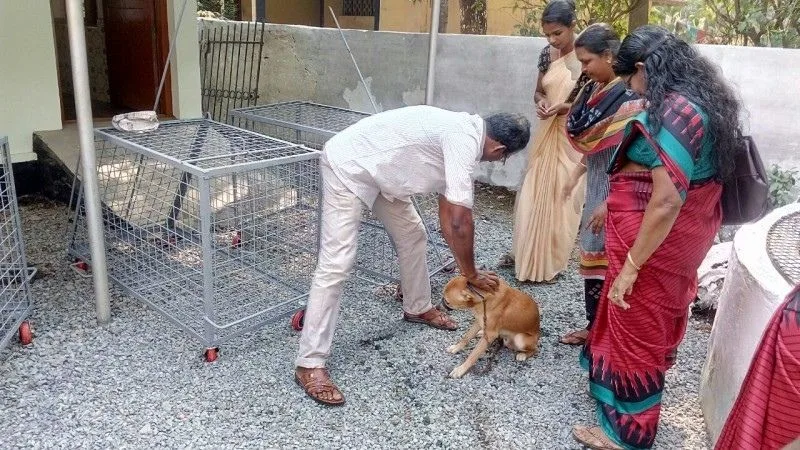 തെരുവുനായ ഭീഷണി: കേരളം നേരിടുന്ന നിയമനിർമ്മാണപ്രതിസന്ധി