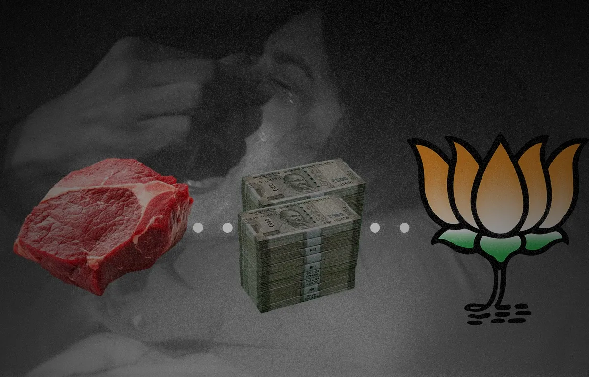 ‘ഗോസംരക്ഷകർ’ നേരിട്ട് നടത്തുന്ന ബീഫ് വിപണി : പശു രാഷ്ട്രീയത്തിന്റെ സാമ്പത്തിക ശാസ്ത്രം 