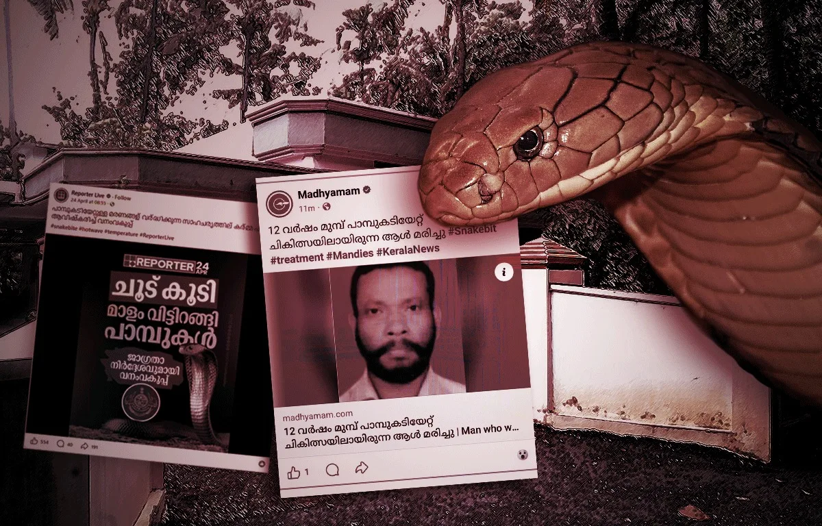 പാമ്പ് ഭീതി പരത്തുന്ന മാധ്യമങ്ങൾ: വാർത്തകളിലെ ശരിയും തെറ്റും