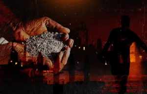(Indian farmers and fertilizer shortage crisis)