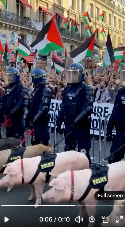 Screenshot from the fake viral video showing protesters holding Palestinian flags instead of French flags